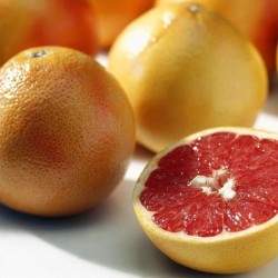 Citrus sanguinelli