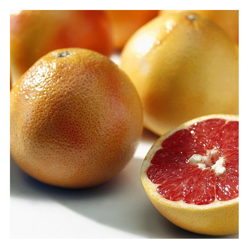 Citrus sinensis 'Sanguinelli'